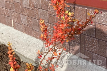 Декаративная теплоизолирующая панель ZODIAC AG5-007 Мозаика