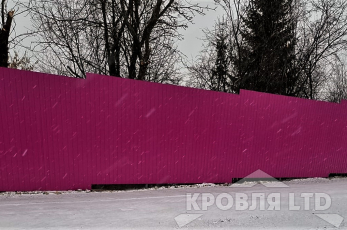 Профнастил С8 Rall 4006 0,45.